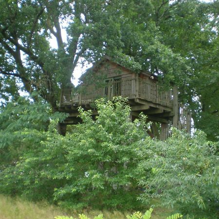 Cabane Perchee Solférino 外观 照片